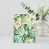Succulent Garden door Cindy Bendel Briefkaart (Staand voorkant)