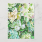 Succulent Garden door Cindy Bendel Briefkaart (Voorkant)