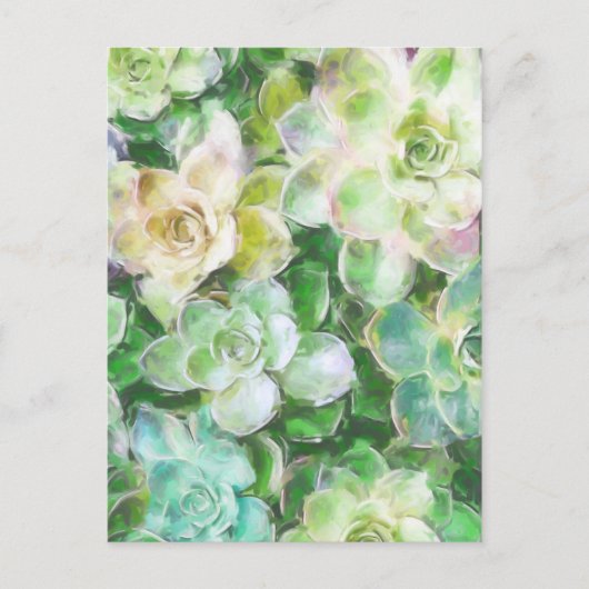 Succulent Garden door Cindy Bendel Briefkaart (Voorkant)