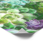 Succulent Garden door Cindy Bendel Poster (Hoek)
