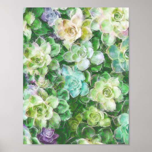 Succulent Garden door Cindy Bendel Poster (Voorkant)
