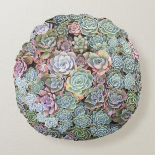 Succulent Garden Mix Sempervivum Rond Kussen