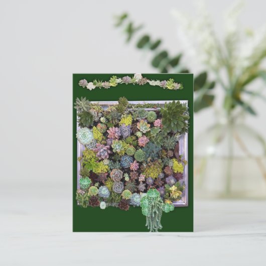 Succulent Garden Wall beeldscherm Briefkaart (Staand voorkant)