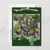 Succulent Garden Wall beeldscherm Briefkaart (Voorkant / Achterkant)