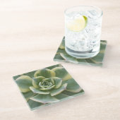 Succulent Glass Onderzetter (Schuin)
