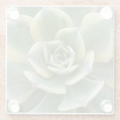 Succulent Glass Onderzetter (Achterkant)