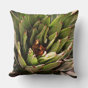 Succulent Green Plant Aloe Botanical Photography Kussen