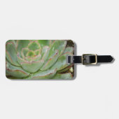 Succulent, Hen en Chicken Bagagelabel (Voorkant horizontaal)