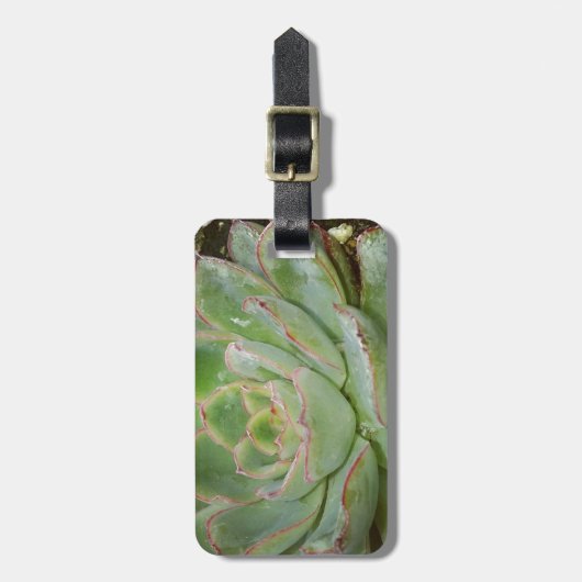 Succulent, Hen en Chicken Bagagelabel (Voorkant verticaal)