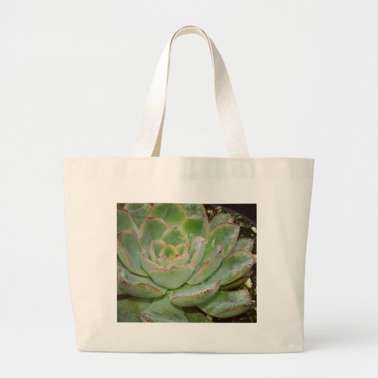 Succulent, Hen en Chicken Grote Tote Bag (Voorkant)