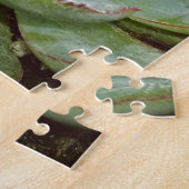 Succulent, Hen en Chicken Legpuzzel (Zijkant)