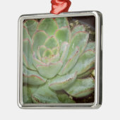 Succulent, Hen en Chicken Metalen Ornament (Links)