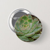 Succulent, Hen en Chicken Ronde Button 5,7 Cm (Voorkant /achterkant)