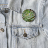 Succulent, Hen en Chicken Ronde Button 5,7 Cm (In situ)