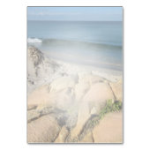 Succulent Hues of Bleek Blues Kaart (Achterkant)