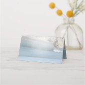 Succulent Hues of Bleek Blues Plaatskaartje (Achterkant)