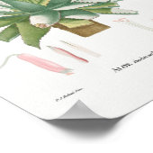Succulent Illustratie Poster (Hoek)
