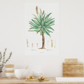  Succulent Illustratie Poster (Keuken)