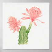  Succulent Illustration Poster (Voorkant)