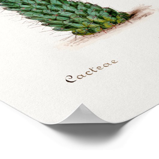  Succulent Illustration Poster (Hoek)