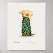  Succulent Illustration Poster (Voorkant)