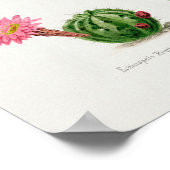 Succulent Illustration Poster (Hoek)