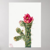 Succulent Illustration Poster (Voorkant)