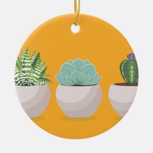 Succulent in een pot keramisch ornament (Voorkant)