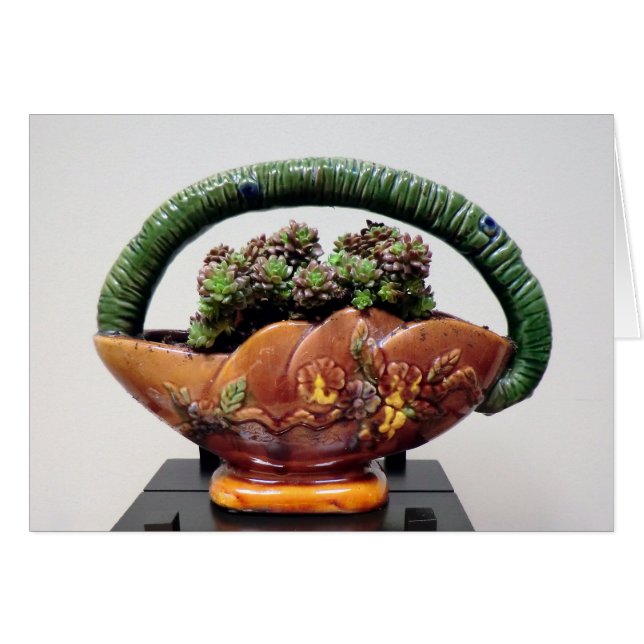 Succulent in mandje door Succulente Design (Voorkant Horizontaal)