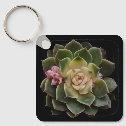 Succulent in punt 7 sleutelhanger (Voorkant)