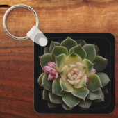 Succulent in punt 7 sleutelhanger (Voorkant)