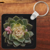Succulent in punt 7 sleutelhanger (Achterkant)