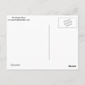 Succulent in Silver Container met Succulent Design Briefkaart (Achterkant)