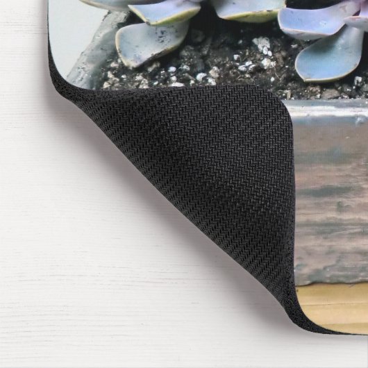 Succulent in zilver muismat (Hoek)