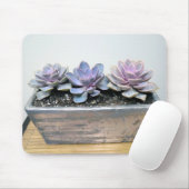 Succulent in zilver muismat (Met muis)