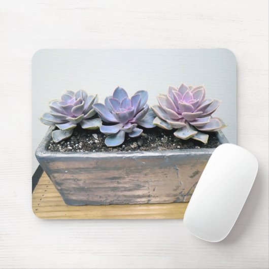 Succulent in zilver muismat (Met muis)