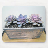 Succulent in zilver muismat (Voorkant)