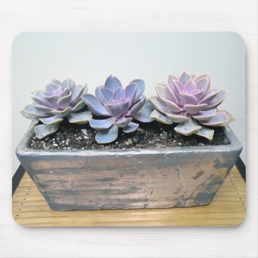 Succulent in zilver muismat (Voorkant)