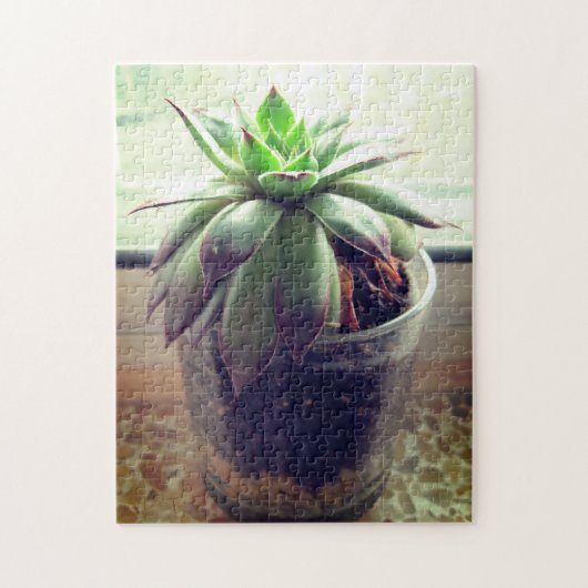 Succulent Indoor Tuinieren Ontspannende Zelfzorg Legpuzzel (Verticaal)