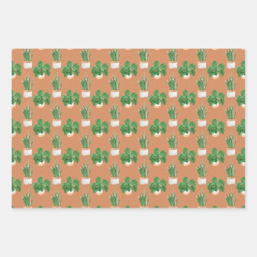 Succulent Inpakpapier Vel (Voorkant 2)