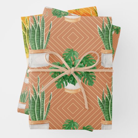 Succulent Inpakpapier Vel (In situ)