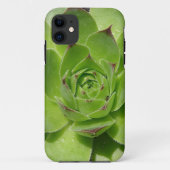 Succulent iPhone Case (Achterkant)