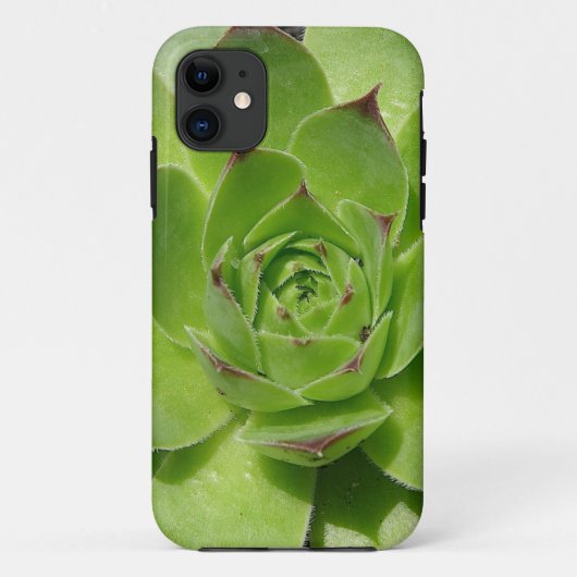 Succulent iPhone Case (Achterkant)