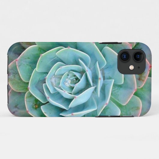 Succulent iPhone Case (Achterkant (horizontaal))