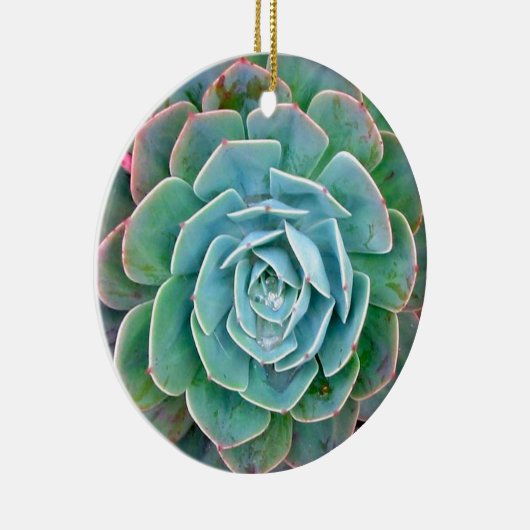 Succulent Keramisch Ornament (Rechts)