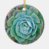 Succulent Keramisch Ornament (Voorkant)