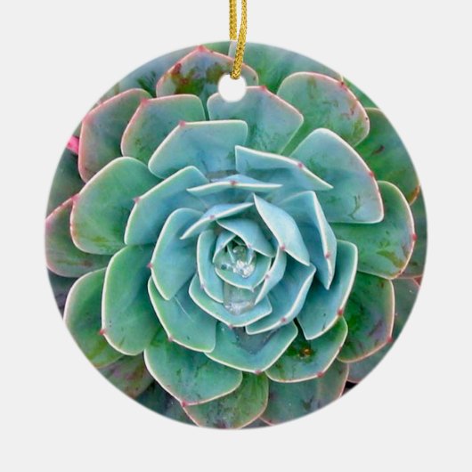 Succulent Keramisch Ornament (Voorkant)