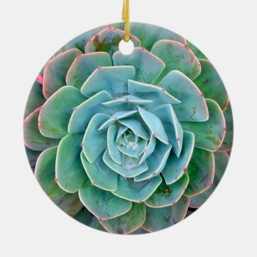 Succulent Keramisch Ornament (Achterkant)