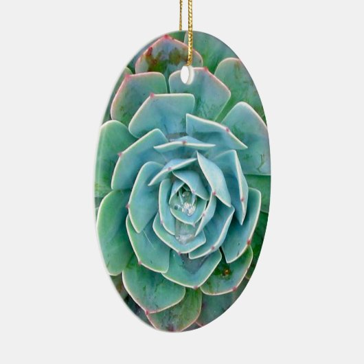 Succulent Keramisch Ornament (Rechts)