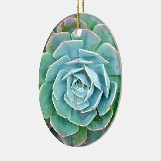 Succulent Keramisch Ornament (Links)